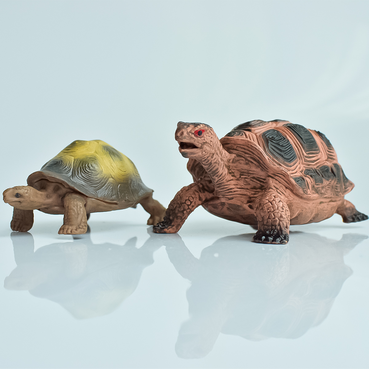 Desk Setup Plant - Painted Realistic Animal Turtle | Aquatic