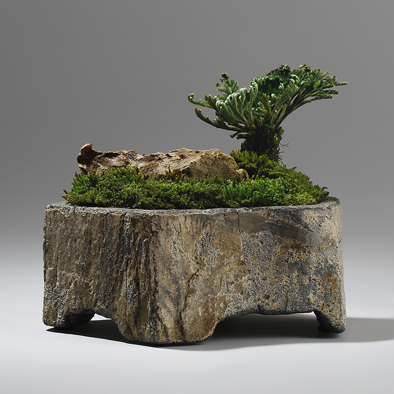 Basalt Natural Stone Flower Po - огляд і ціна Desk Setup Plant