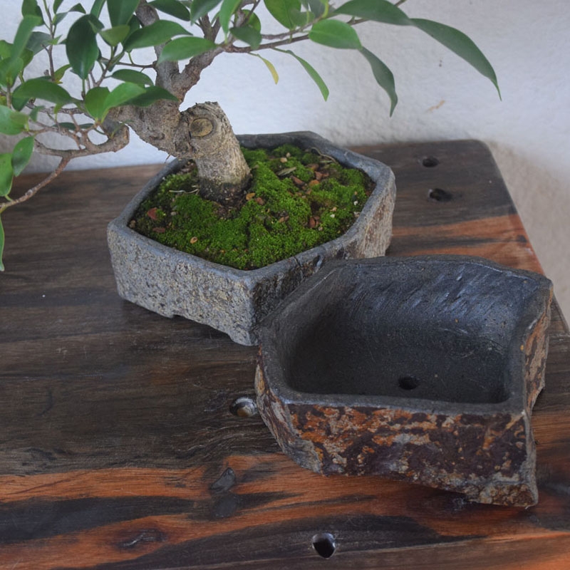 Basalt Natural Stone Flower Po - огляд і ціна Desk Setup Plant
