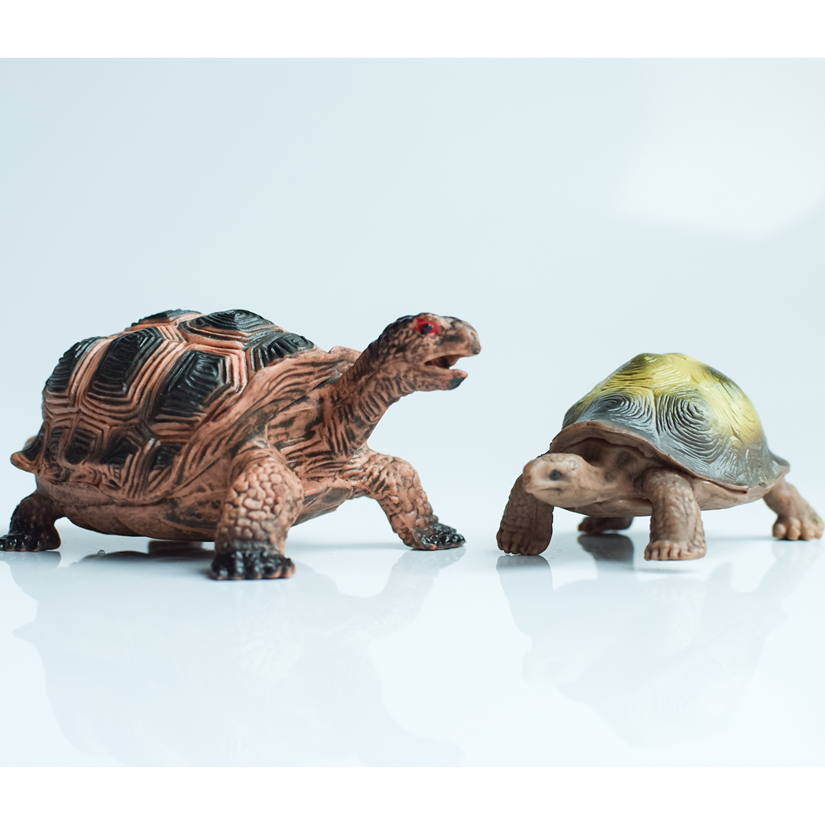 Painted Realistic Animal Turtl - огляд і ціна Desk Setup Plant