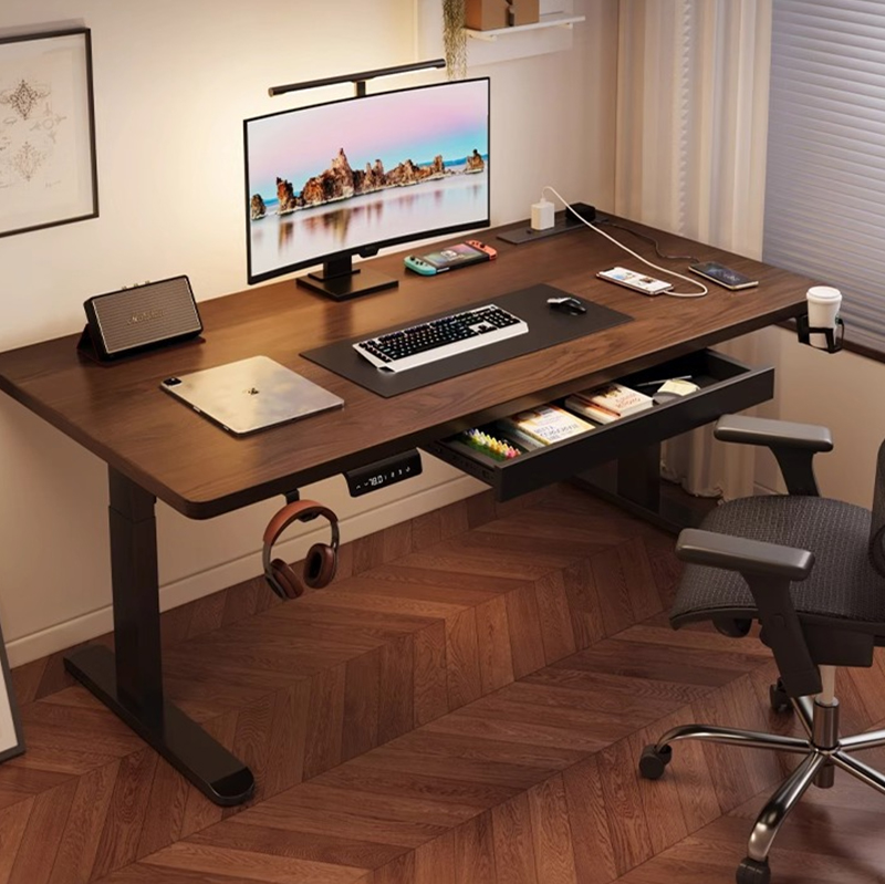 Modern Iron Dual Motor Electri - огляд і ціна Desk Setup Dual Monitor
